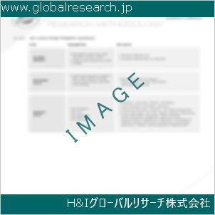 グローバルリサーチ調査資料のイメージ